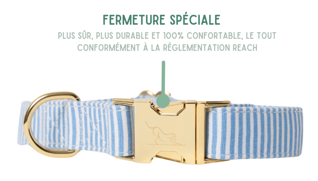 COFFRET VELVETIER RAYE BLEU/BLANC